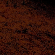 Brian Grainger : Autumn Soil Feedback (Expanded) [CD-R]