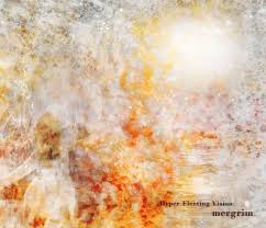 mergrim : Hyper Fleeting Vision [CD]