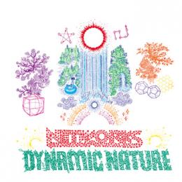NETWORKS : Dynamic Nature