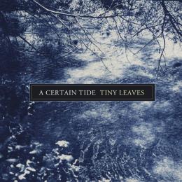 Tiny Leaves : A Certain Tide [CD]