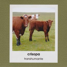 Crisopa : Transhumante  [CD-R]