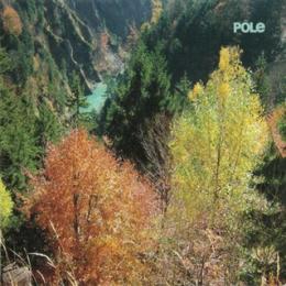 Pole : Wald