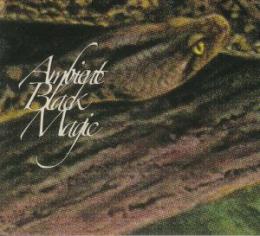 Rainforest Spiritual Enslavement : Ambient Black Magic [2xCD]