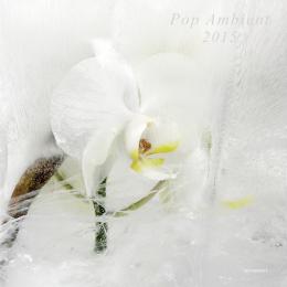 Various Artists : Pop Ambient 2015 [CD]