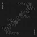 Lee Gamble : Flush Real Pharynx 2019-2021 [CD]