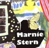 Marnie Stern : In Advance Of The Broken Arm [CD]
