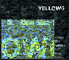 Yellow6 : When The Leaves Fall Like Snow [2xCD]