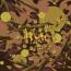 EF / Tiny Fingers : Vayu [CDEP]