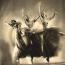 Black Elk : Sketch V [CD-R]