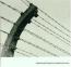Dakota Suite : Songs For A Barbed Wire Fence [CD]
