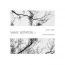 Satoshi Ashikawa : Still Way [CD]