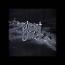 Adrien Casalis : Ghost [CD-R]