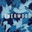 Etherwood : Blue Leaves [CD]