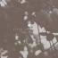 Christopher Bissonnette  : Pitch, Paper & Foil [CD]