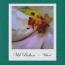 Wil Bolton : Whorl [CD-R]