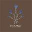 Saxon Shore : Be A Bright Blue [CD]