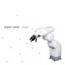 Robert Lippok : Robot [CDEP]