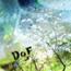 DoF : Red Pine Pasture [CD]