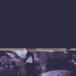 Kreptkrept : Irregular Dark Beat [CD]