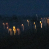 Le Moors : Multi​-​filament [3"CD-R]