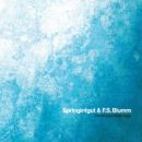 Springintgut & F.S.Blumm : The Bird And White Noise [LP]