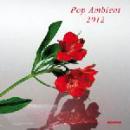 Various Artists : Pop Ambient 2012 [LP+CD]