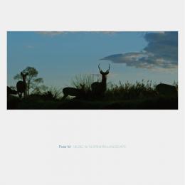 Polar M : Music For Northern Landscape [CD]