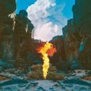 Bonobo : Migration [CD]