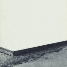 Willamette : Diminished Composition [LP]