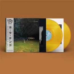 Yo La Tengo : This Stupid World [2xLP]