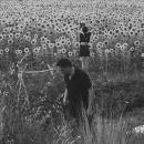 Jesu / Sun Kil Moon : S/T [CD]