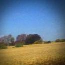 Sun Kil Moon : Benji [CD]