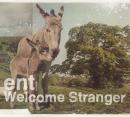 ent : Welcome Stranger [CD]