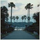 submerse : Are You Anywhere [CD]