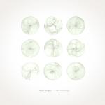 Ryan Teague : Field Drawings [CD]