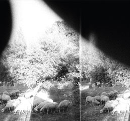 Godspeed You! Black Emperor : Asunder, Sweet And Other Distress [CD]