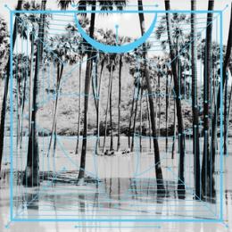 Four Tet : Pink [2xLP]