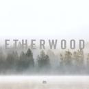 Etherwood : In Stillness [CD]