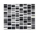 Ryoji Ikeda : Test Pattern [CD]