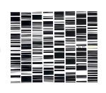 Ryoji Ikeda : Test Pattern [CD]