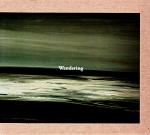 Various Artists : Wandering Compilation [CD]