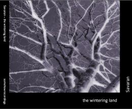 Savaran : The Wintering Land [CD-R]