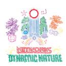 NETWORKS : Dynamic Nature (+ Bonus CD-R) [CD (+CD-R)]