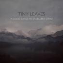 Tiny Leaves : A Good Land, An Excellent Land [CD]