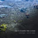 Andrew Heath & Anne Chris Bakker : How To Breathe Like A Stone [CD-R]