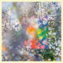 Four Tet : Sixteen Oceans [CD]