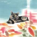 Eddie Marcon(ゑでぃまぁこん) : Carpet Of Fallen Leaves [CD]