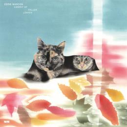 Eddie Marcon(ゑでぃまぁこん) : Carpet Of Fallen Leaves [CD]