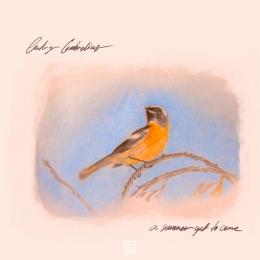 Ludvig Cimbrelius : A Summer Yet To Come [CD]