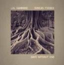 Lol Hammond and Duncan Forbes : Days Without End [CD]